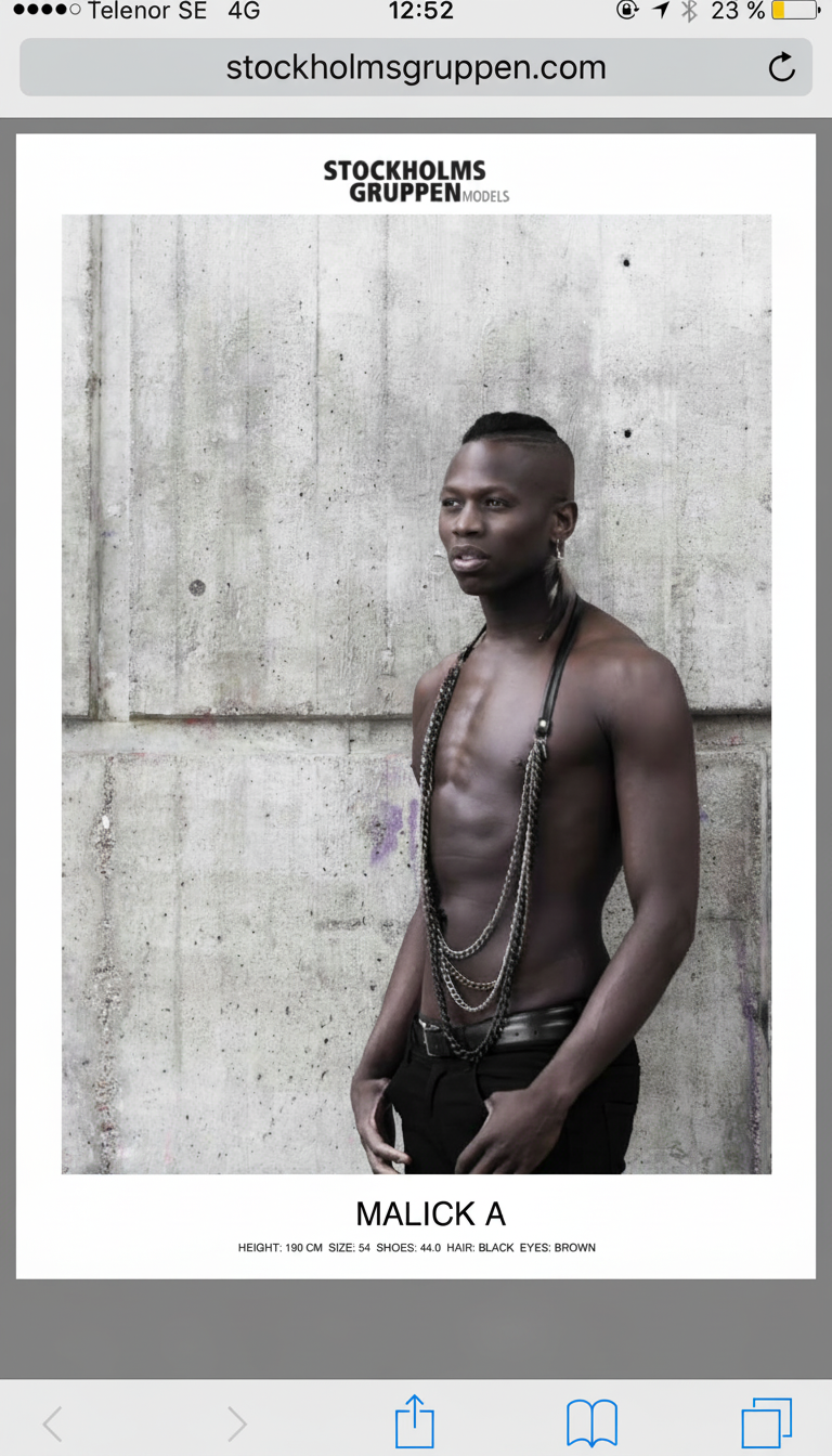 Stockholmsgruppen models card with portrait